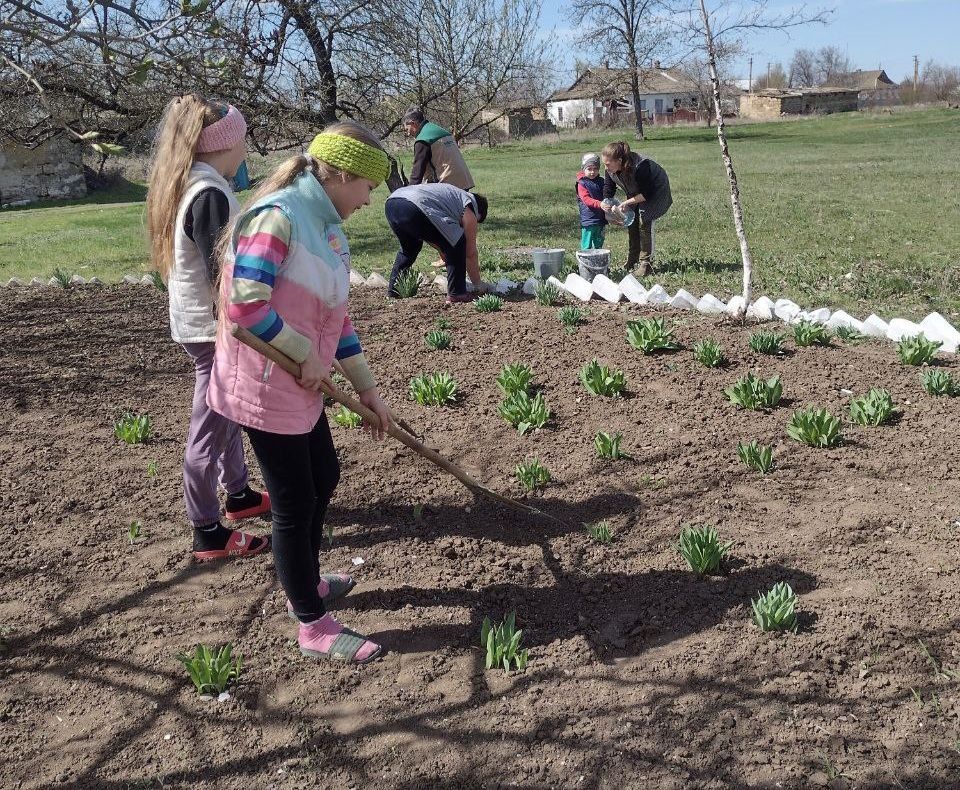 � ���� ���������� ������� ���������