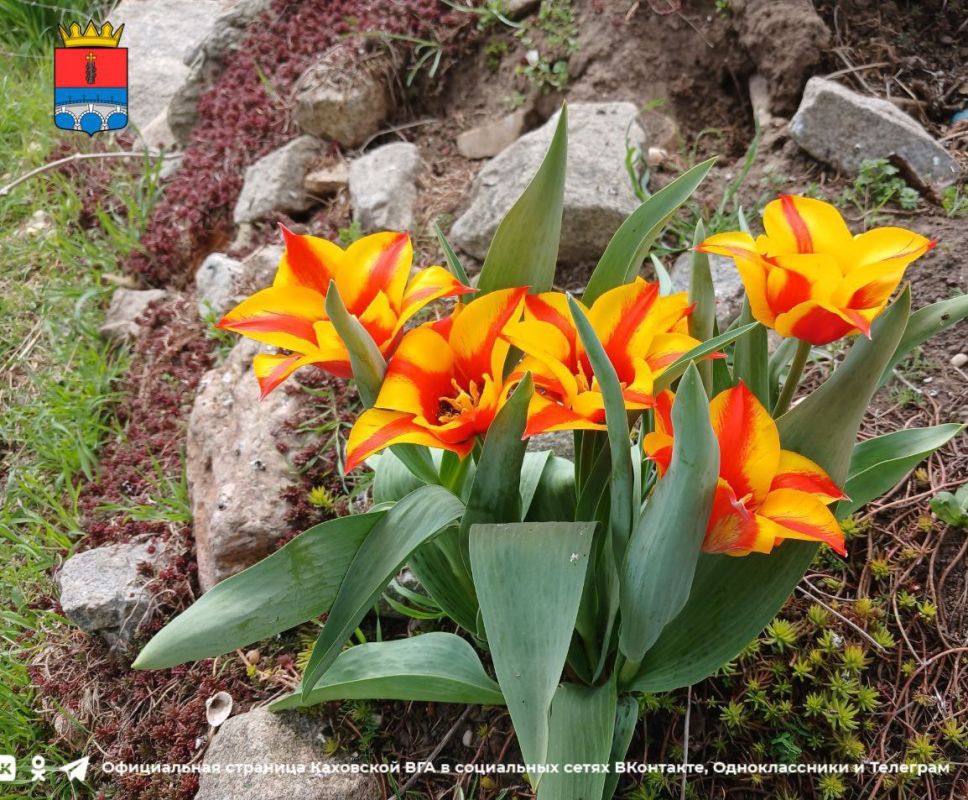 ������ ����, �������!. @VGA_Kakhovka