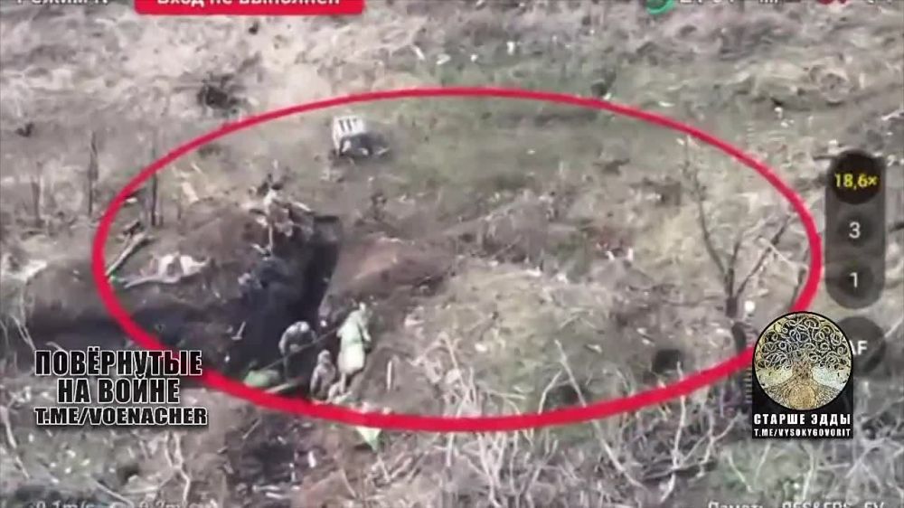 ���������� �������� ������ ����������, �� ���������� ������� ����� �������� ����-��������� �������, �� ������� ����������� �� �����