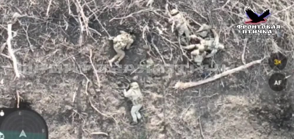 ����������� ��������� ������ ��� ��� ��������������� �� ����������� ������