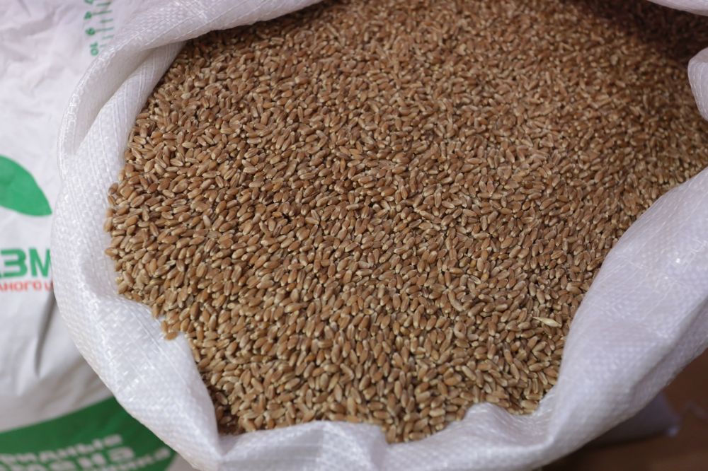 ����������������� ��������������� ��������� ����� �������� � ����� ���������� ���������