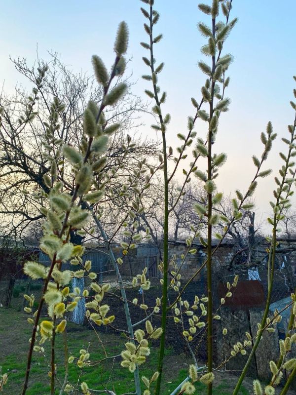 ����� �������� ��������� ��������� ��������� ���������� ������