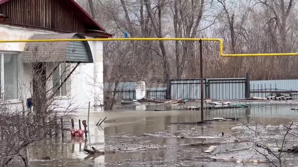 ��� ���� ��� ������?� � ������� Readovka ������ ������ � ������������ ������� � �����������, �������� �������� ��-�� �������