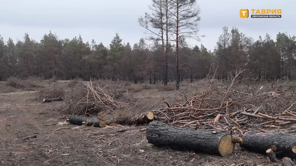 �������� �� ������� ��� �������� � ������������� ������ ������� � ���������� �������