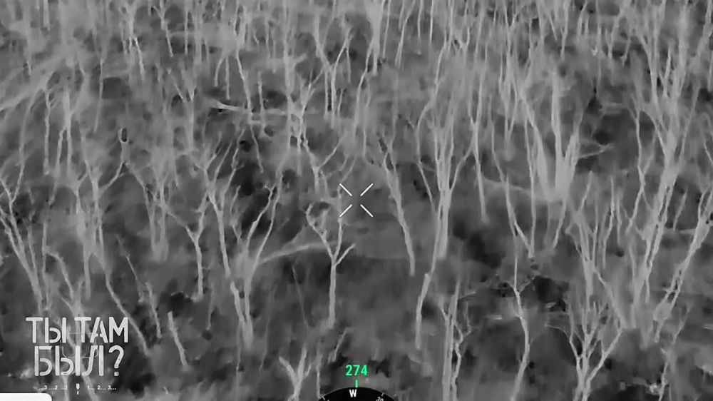 ������ ������ ������ ���� ������������ ���������