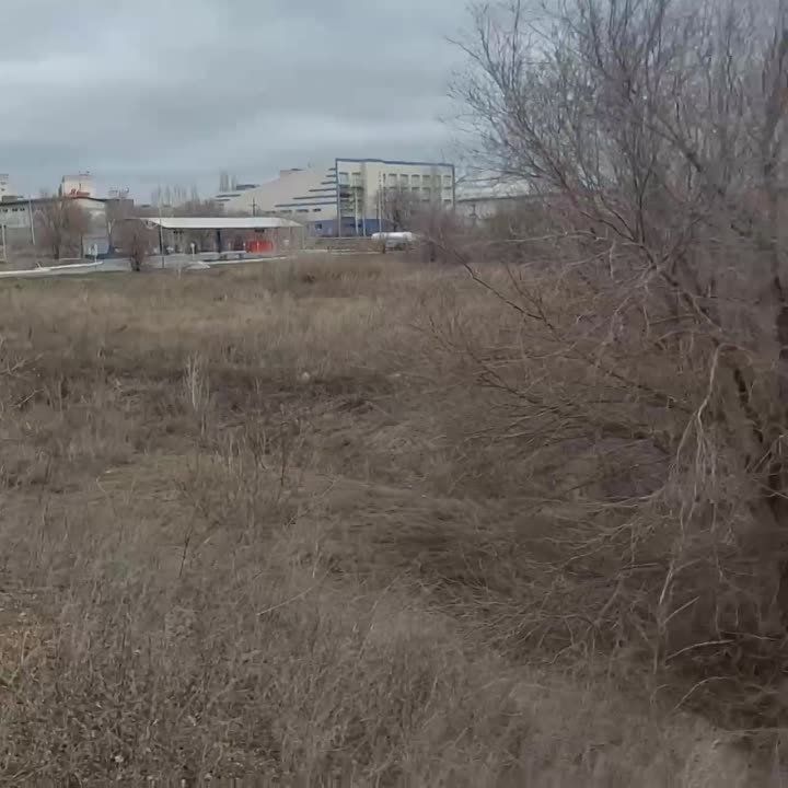 � ����������� ��������� ������� �����