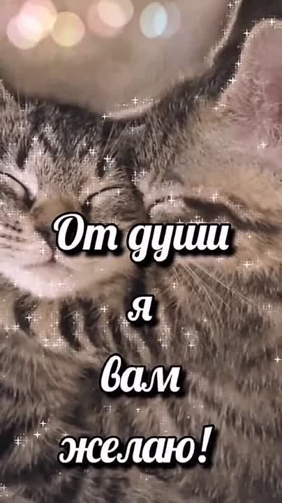 ������ ����. ������ �������� ������ ����������� ����� � ����, � � ������ ���� � ������� ����������. ��� �������. ����������� �� +9 ����� �� +24 ���