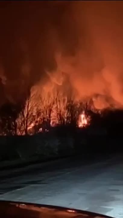 ������ ������ ���������� ��������� ����� � ��������-��������� � ����������� �������, ������� ��������� �����