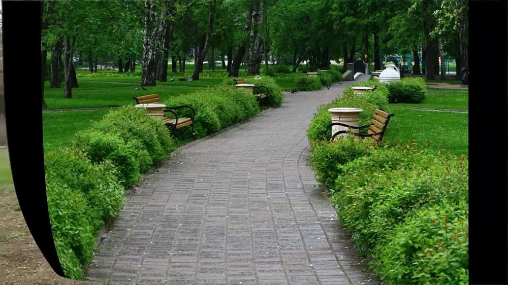 ��������� �����: ������ ��������� ��������� �������� ������� � ����������� �� ������� ��������������� � ������ ������� ������������� ���������� ��������� ������