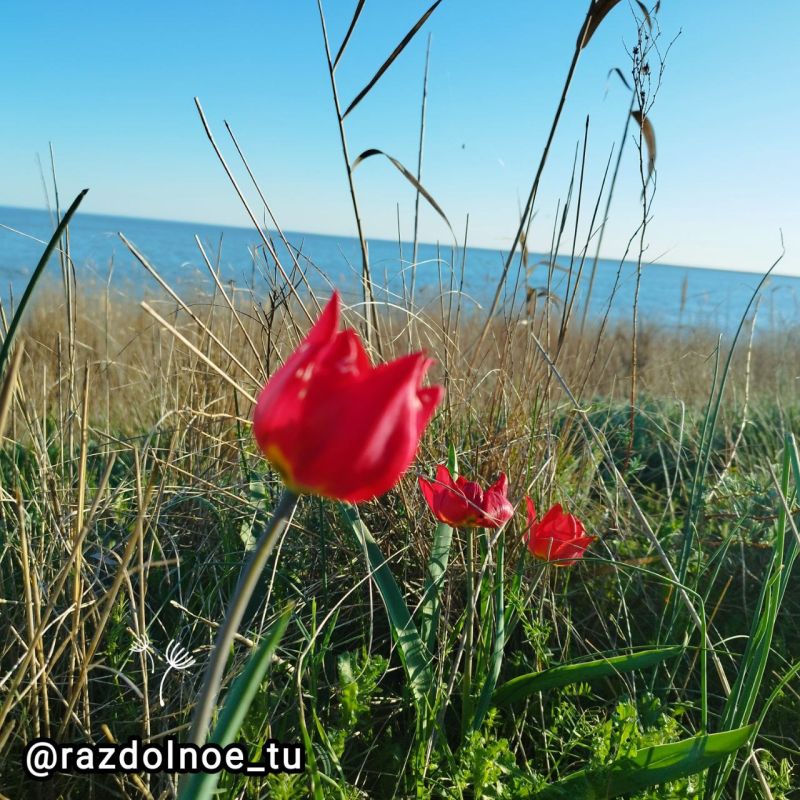 �������� ����. ������ �� �����