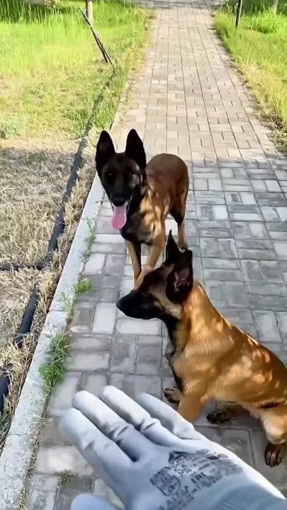 ��� �� ������ � ����������� �����? ��� ��� ��� ���� ��������, ���� � ��� � ���� ����� ��������������� � ������