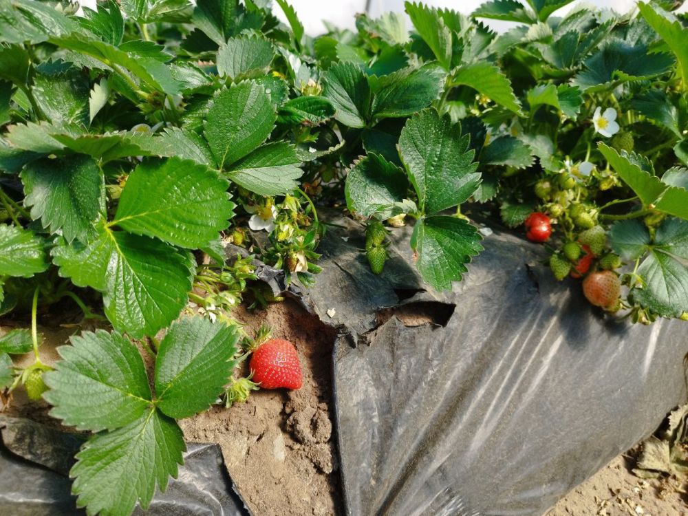 �������������������� �������������� ���������� ������ ����������� ������ �������� ������