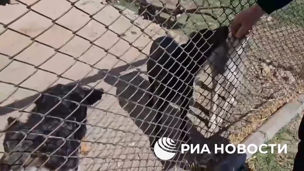 � ������������� ��������� ������ �������� ����� ��� �������� ��������