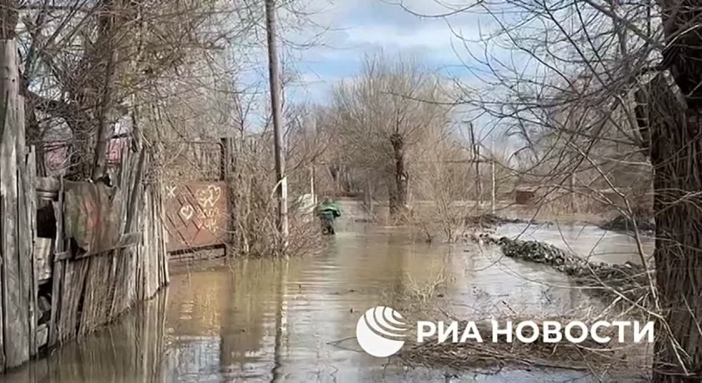 ����� �� ������������� �����������, ��� ����� ���� ��������� ���������