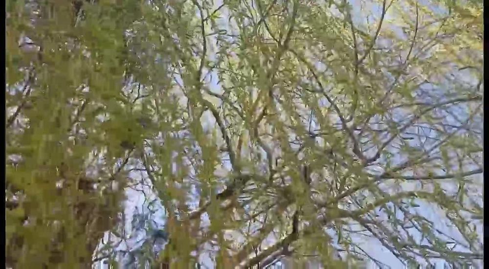 � ������ �����, �����������!