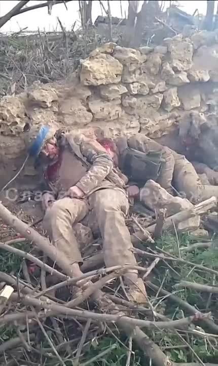 �� ���������� ����������� ��������� ������ �� ������ ���������� ��������� ���� �������� ��� � �������