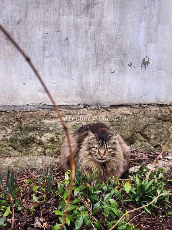 ����� � �������� ����� � ��� � ���������� ������ ������ �����������