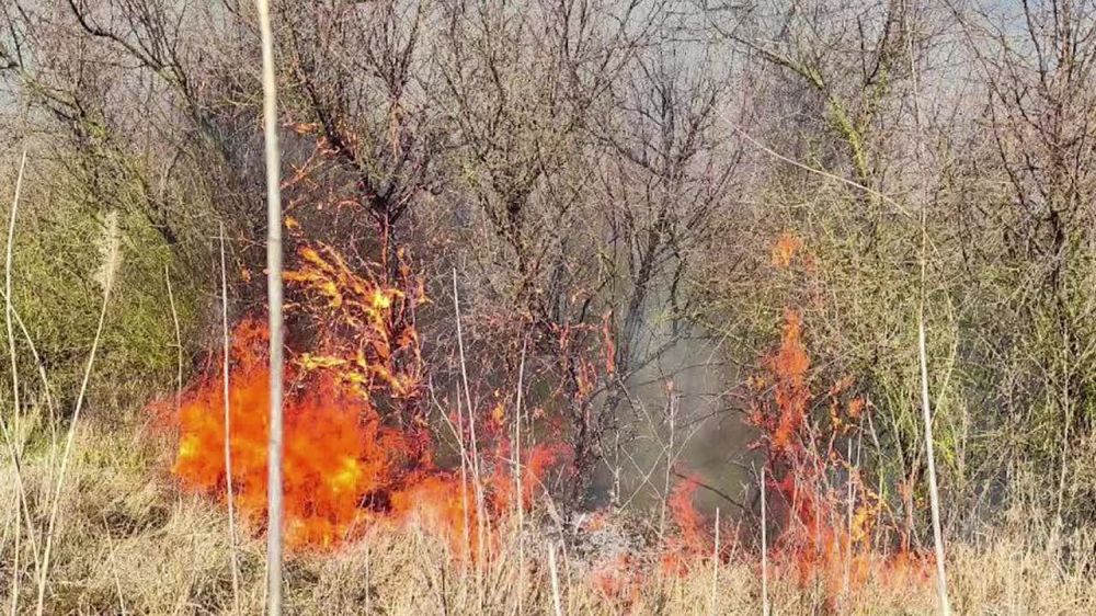 �������� ��� ����� ����� � ���������� ������� � ������ ������ ���� �������� 10 �������