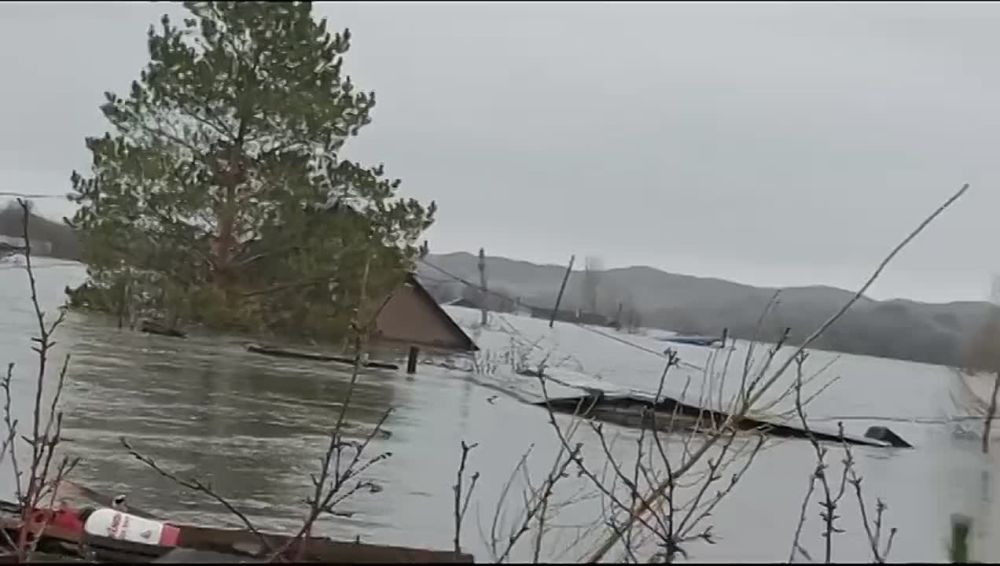 � ������� ���������� �������� ����� ��� � ��� ��� ����� �� ����������� �������