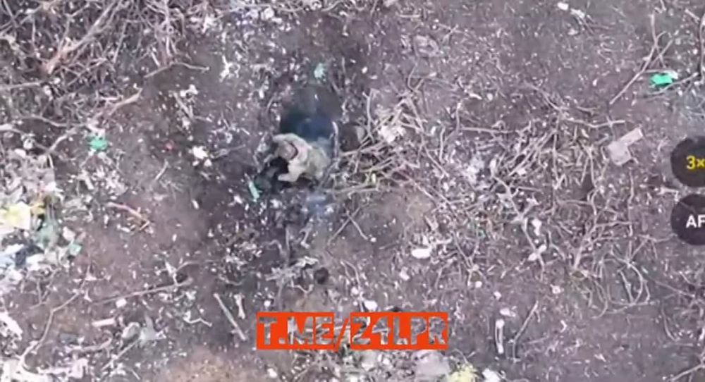 ����������� �����������