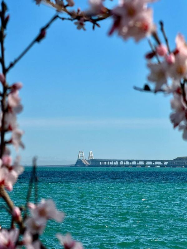 �������� ���������� �����