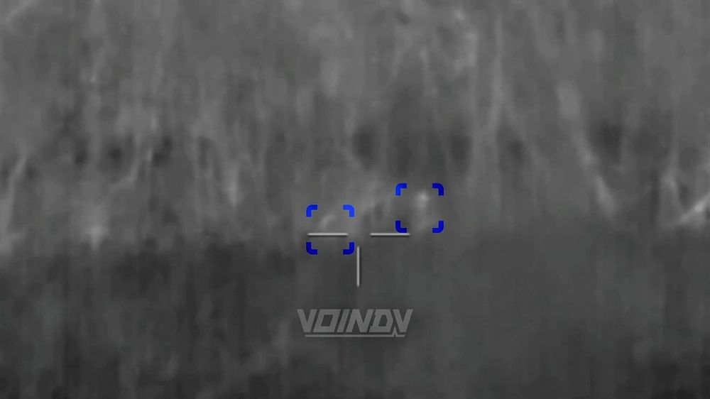 ����������� ���� 14 ������� �������� ���������� ������ ���������� � ������ �.�. ��������