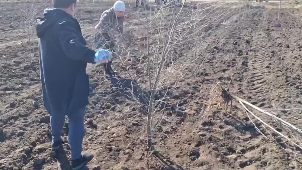 ������������ ����������� ��������� "������-II" �������� ��������� ������ ����������� ������ ��������� ���������� � ��������� ������ ������������� ����������� ������ ���������� �������