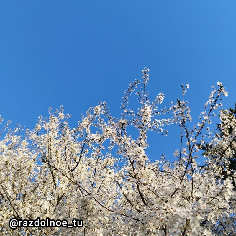 ����������!. ���� ������ ������