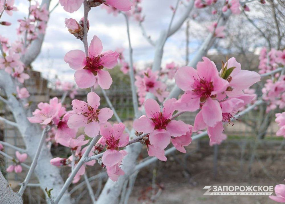 � ��� ��� ��������� ������� �������� ������� �� ���������� �������