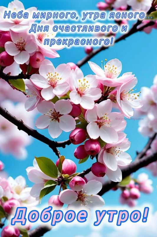 ������ ����. ������� �������� ������ ����������� ����� � ����, � � ������ ���� � ������� ����������. ��� �������. ����������� �� +9 ����� �� +24 ���