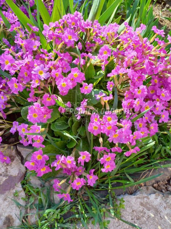 �������� ����� � ���� � ��������: ��������� �������� � ������� � ������� ������� ��� �������� ����������