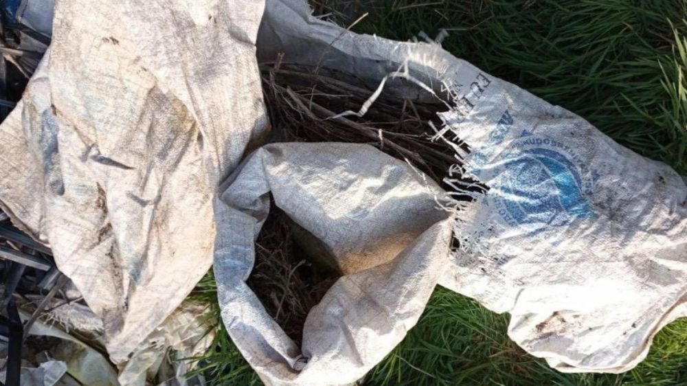 � ���������� ������� ���������� ������� ������ � ������ ���� ���������� 3 ����� ���������� �������