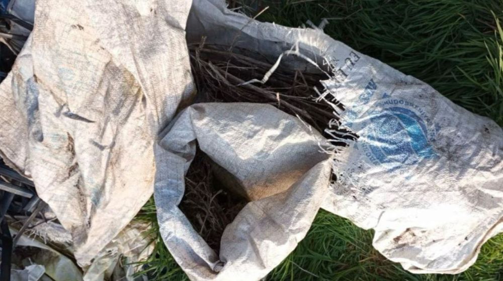 � ���������� ������� ����������� ���������� � ���� ����� ���� ���������� 3 ����� ���������� �������