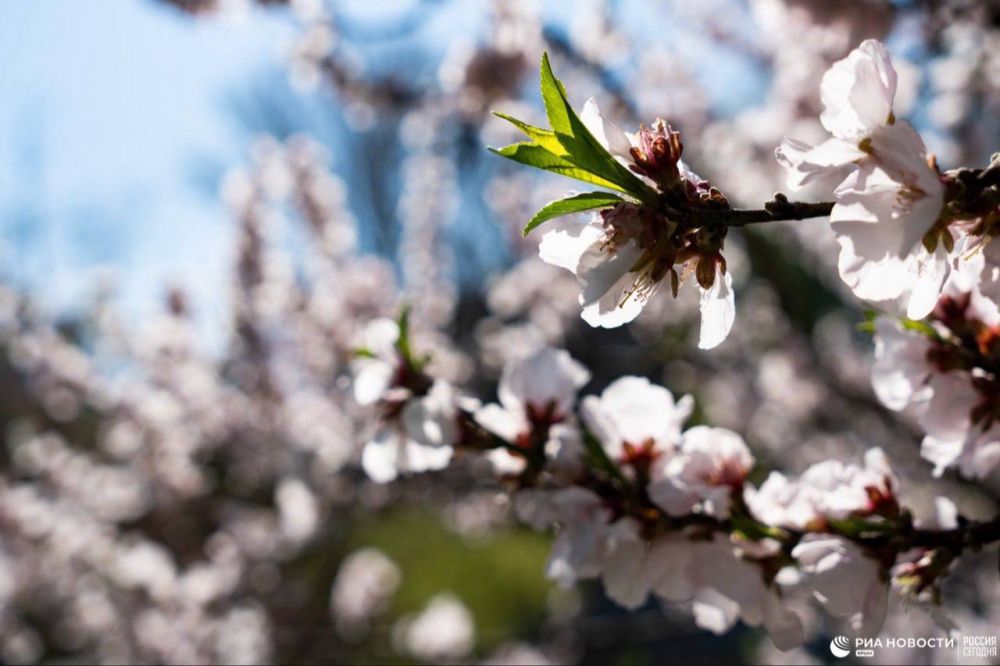 ������ �� ����� ����������� ������