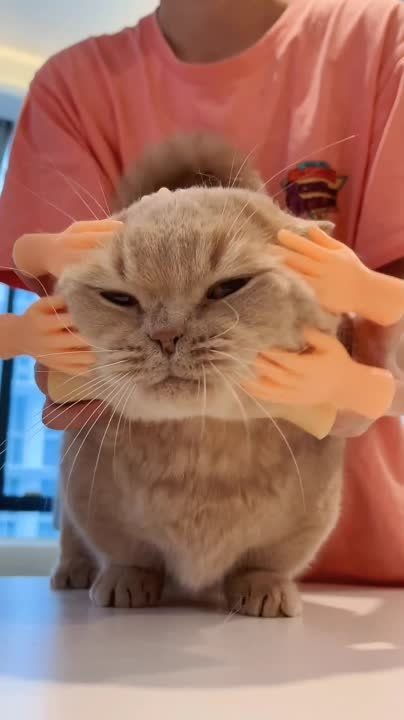 ���������� ������� ����������� � ���������� � ������� �������