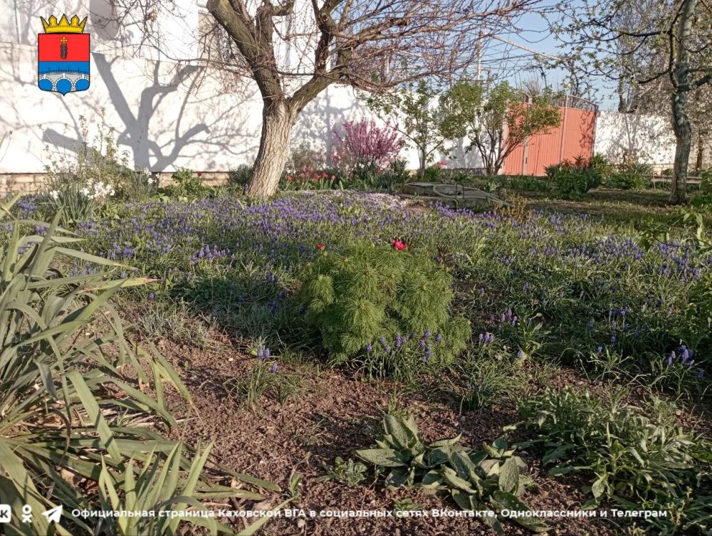 ������ ����, �������!. @VGA_Kakhovka