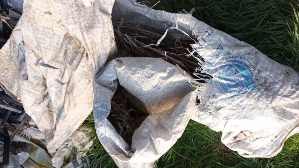 � ���������� ������� ����������� ���������� � ���� ����� ���� ���������� 3 ����� ���������� �������