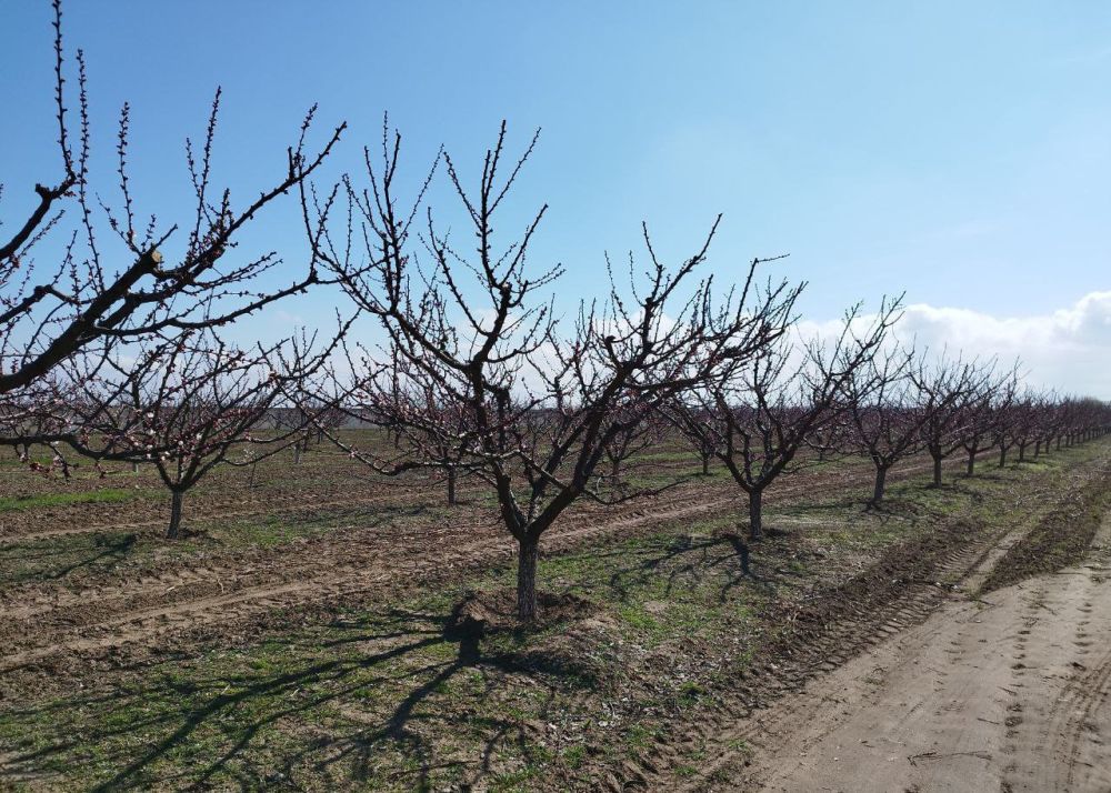 �� ���������� ������� �������� ������� ������ ������� �, �������, �������� �� � ����!