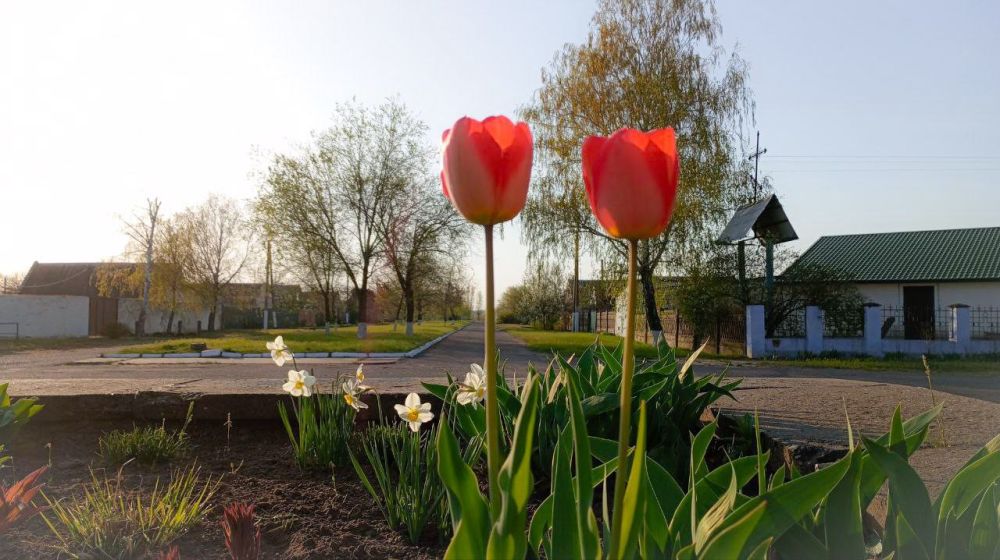 � ������ �����, �����������!