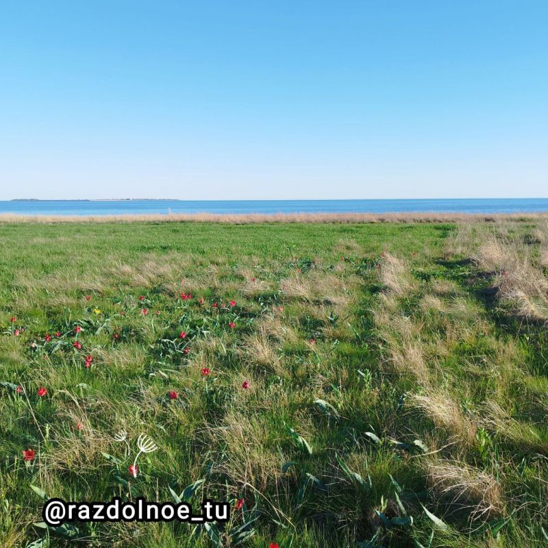 ����������!. ������ ���� �������