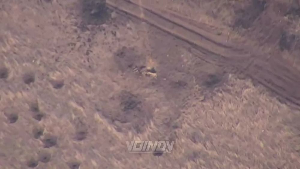 ��������� ���� 14 ������� �������� �������� ������� ���