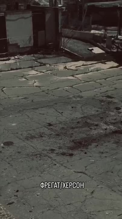 ������ ������ �������. ����� "������"