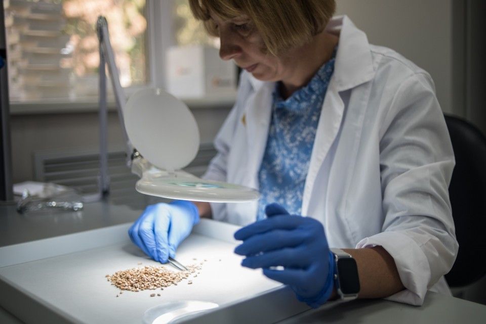 ����� 2 ����� ���� ����� ����������� ����������� � �����, ����������� � ���������� ��������