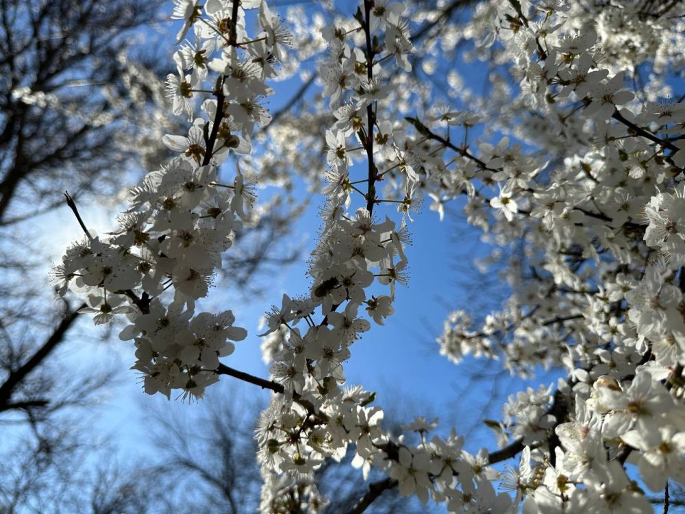 �� ���������� ������� �������� ������� ���������� �������