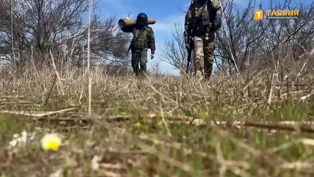 ������ ���� "�����" ��������� ������ ������������� � ������� ��� �� ������ ������ ������