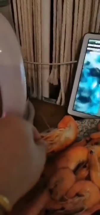 ������ �����, ������!. ���� ���� � ���� � ������. � ��������� ������������� � �������� �������, ���������, ��� ������ ���, ���� ������ ������ � ����� ����������