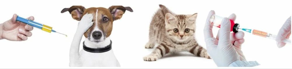 ���������� - ����������!