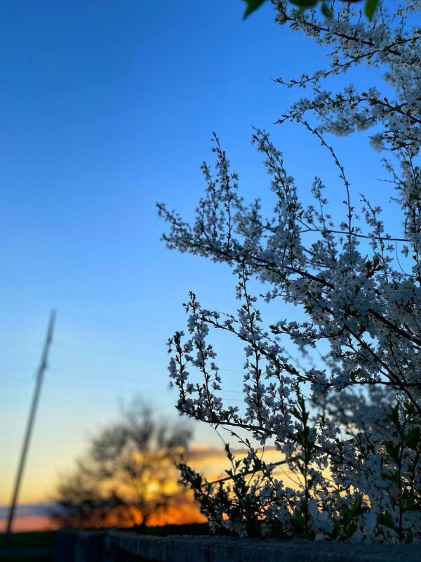 ����� ������ ����� ����� � ����������