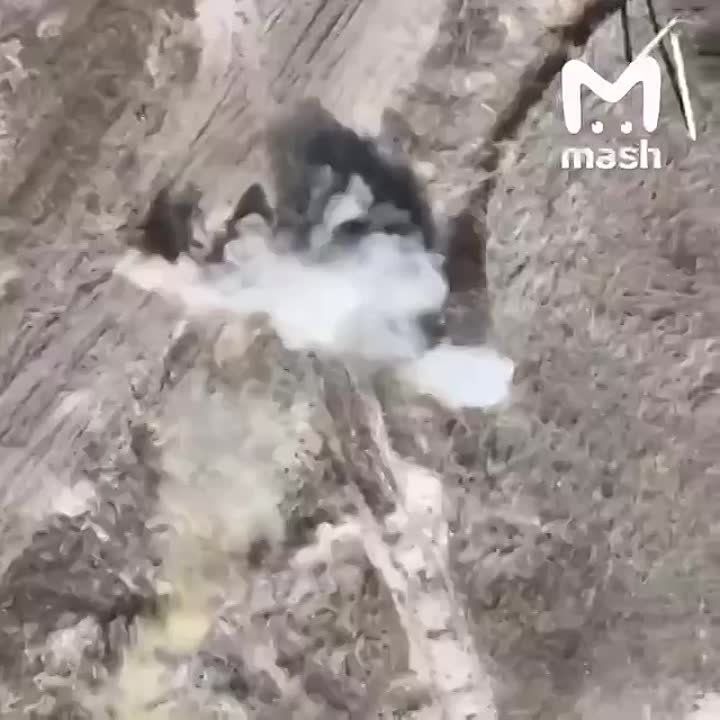 �� ����������� ����������� ����� �� ������������� ������� ������ ���������� ������-��������� "MUTT", ������� �������� � ��� �� ���������