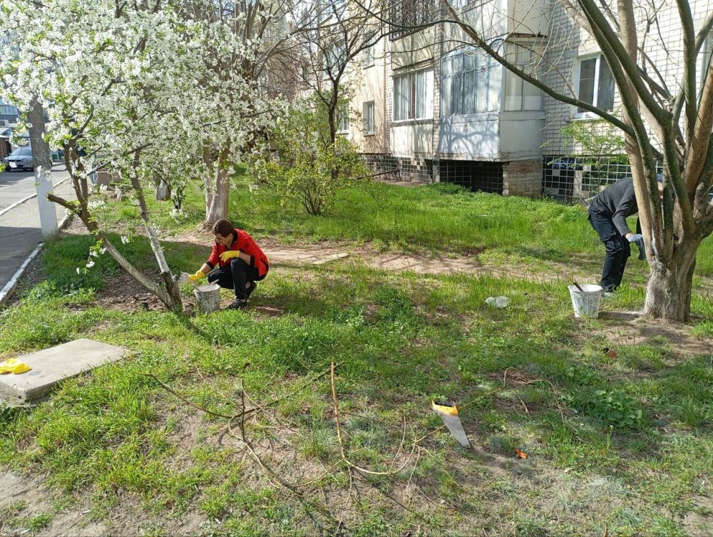 � ����� ������� ����� �������� ����